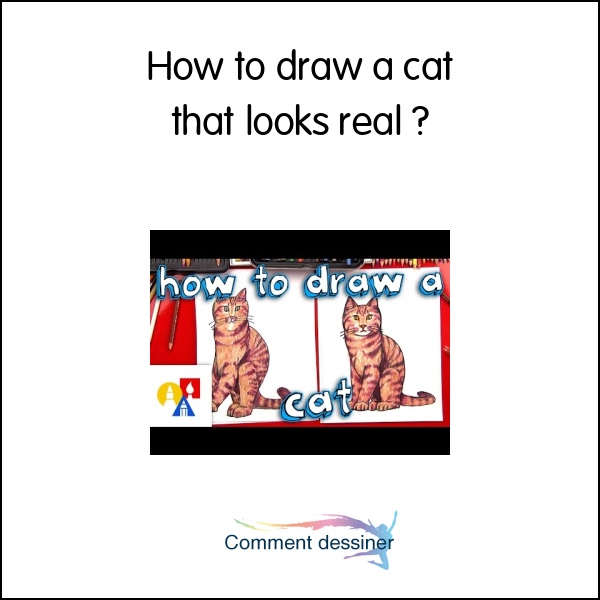 How to draw a cat that looks real